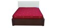 Economical King Size (73x75) 5 Inch Bonnell Spring Mattress in Maroon Colour