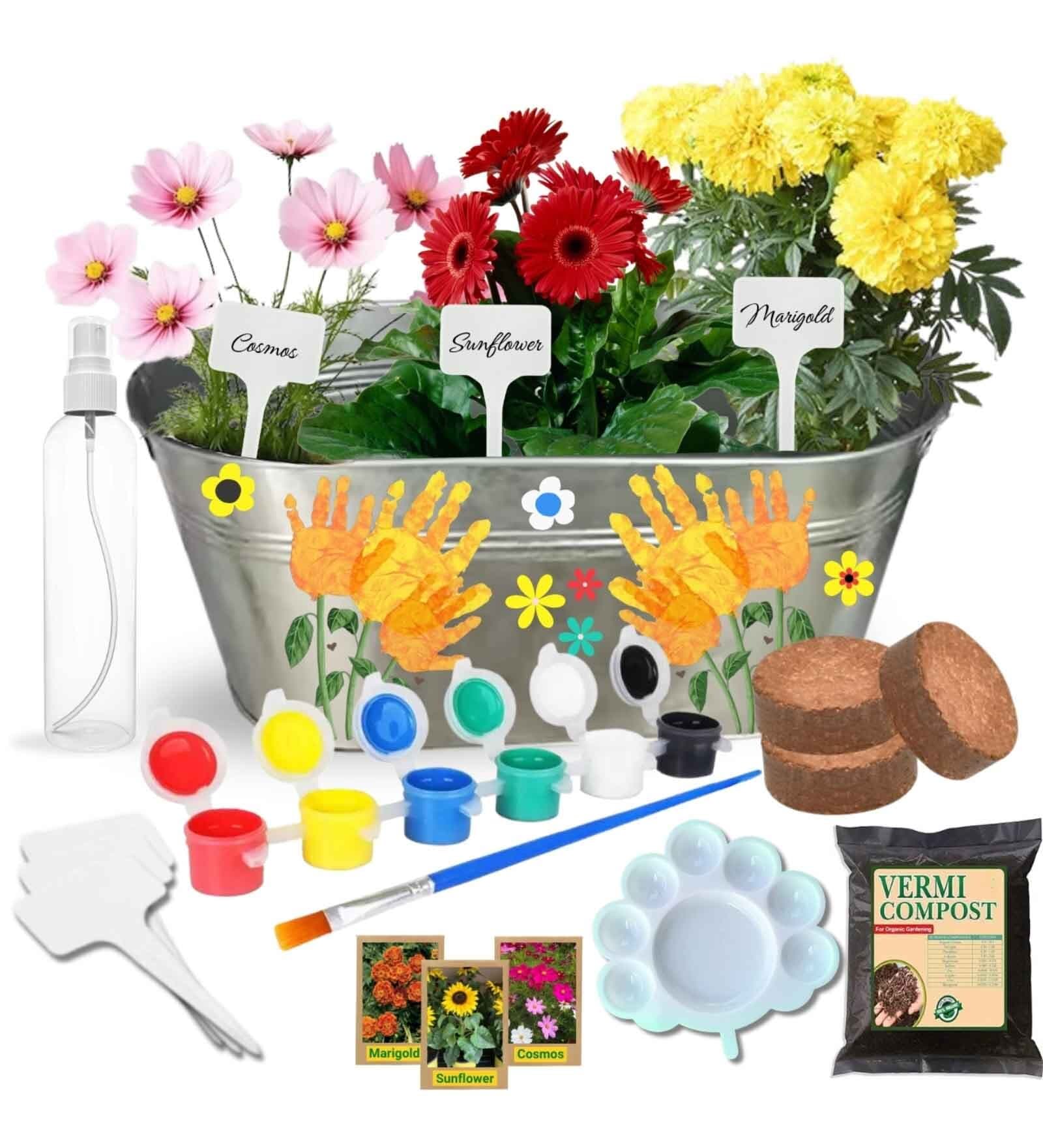 Ecofynd 3 In 1 Diy Growkit For Marigold Sunflower And Cosmos Mix