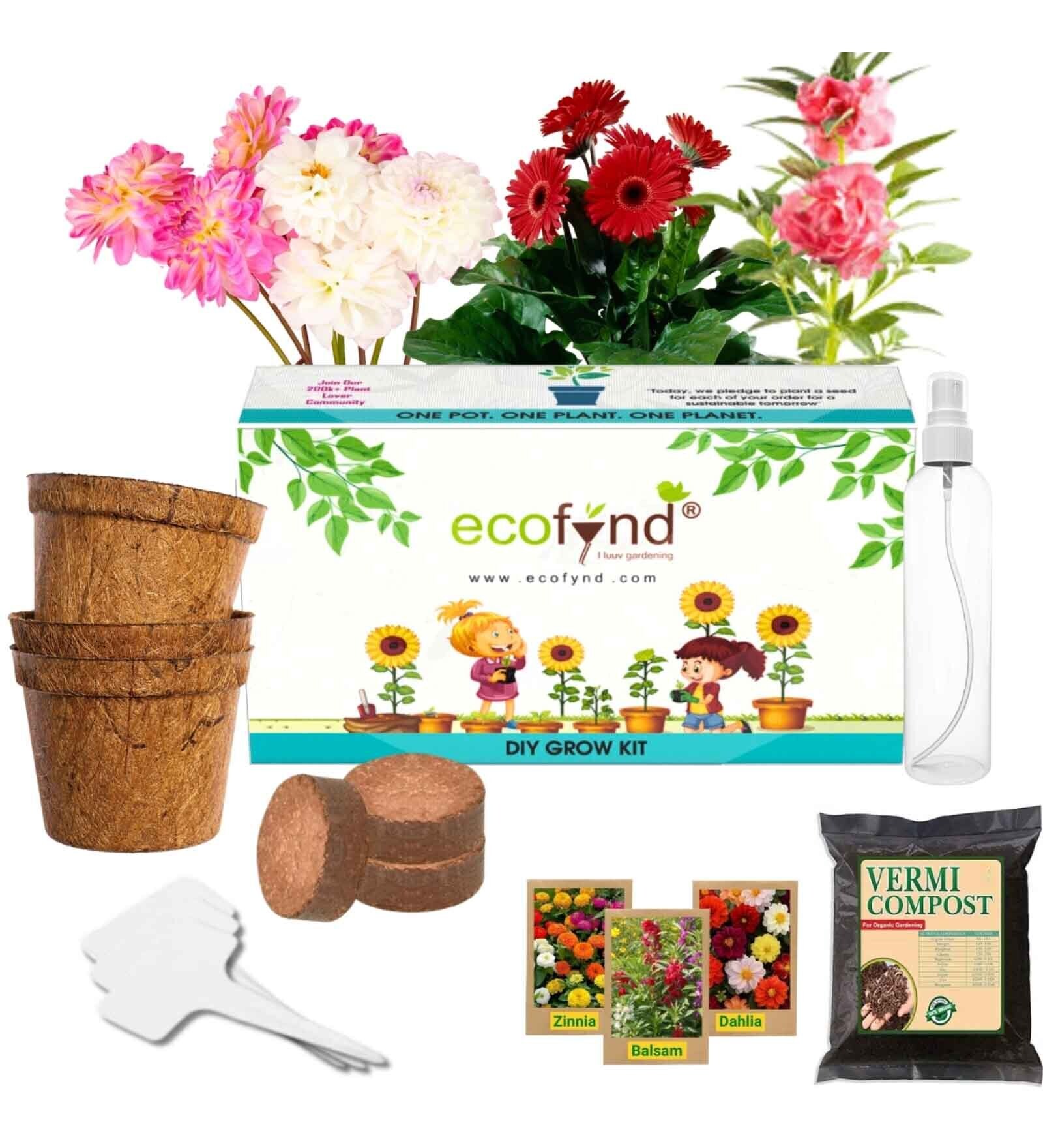 Ecofynd 3 In 1 Diy Growkit For Zinnia Balsam & Dahlia