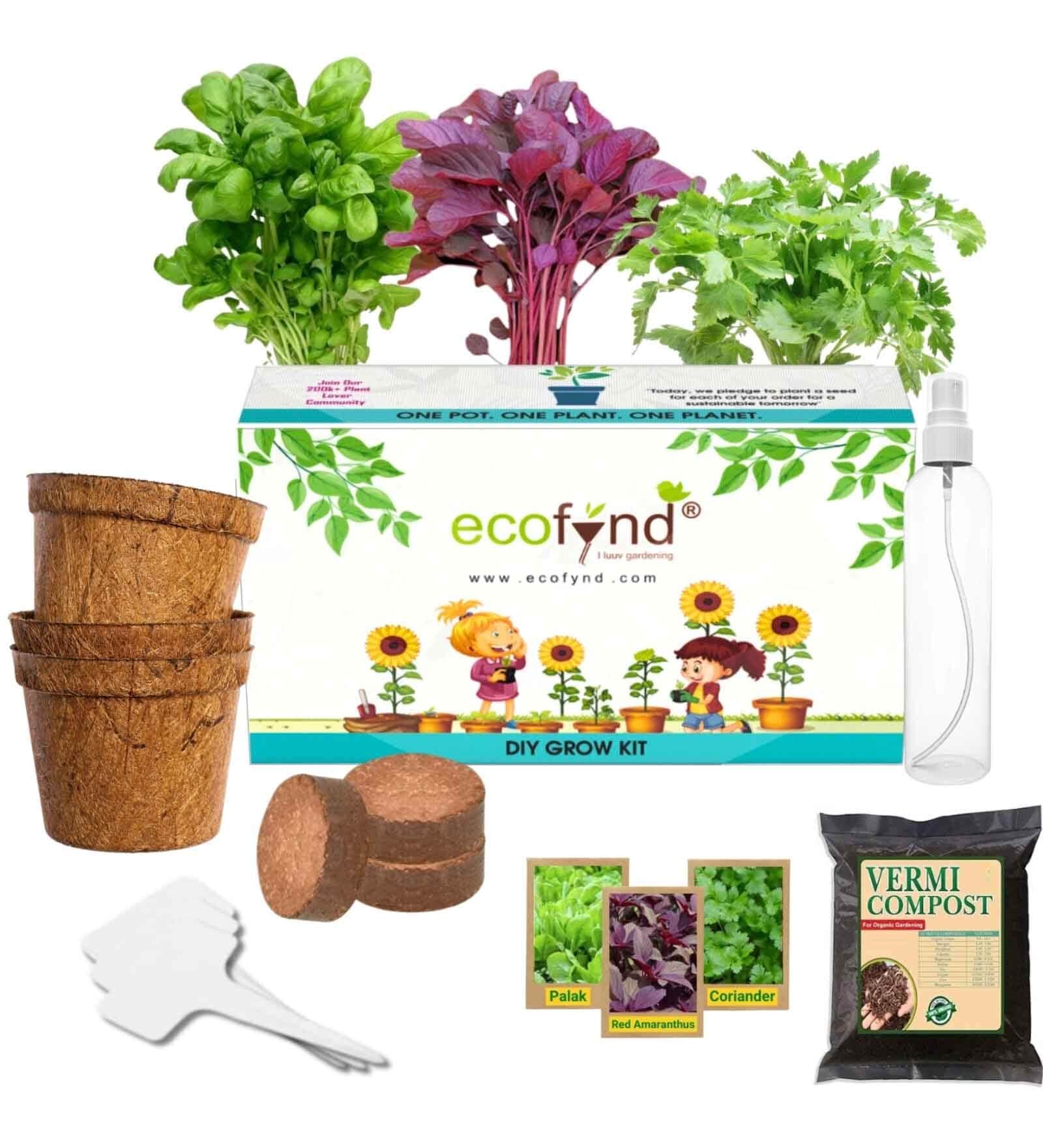 Ecofynd 3 In 1 Diy Leafy Vegetable Grow Kits: Red Amaranth Spinach & Coriander Gardening Kit