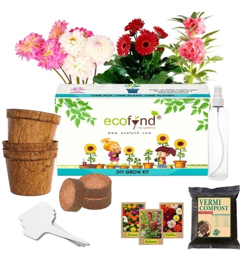 Ecofynd 3 In 1 Diy Growkit For Zinnia Balsam & Dahlia