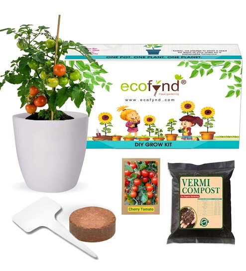 Ecofynd Diy Grow Kit For Cherry Tomato || Diy Easy Grow It Yourself Gardening Kit