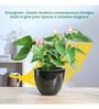 Echoing Eternity Black Ceramic Planter