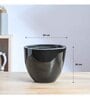 Echoing Eternity Black Ceramic Planter