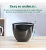 Echoing Eternity Black Ceramic Planter