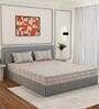 Beige Vertical 180 TC Cotton King Sized Bedsheet With 2 Pillow Covers