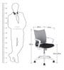Eco Ergonomic Chair in White Colour