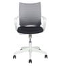 Eco Ergonomic Chair in White Colour