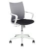 Eco Ergonomic Chair in White Colour