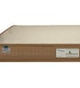 Ecoback Dual 4 inch HR Foam Single Mattress