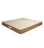 Ecoback Dual 4 inch HR Foam Single Mattress