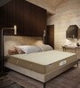 Ecoback Dual 4 inch HR Foam Single Mattress