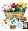 Ecofynd 3 In 1 Diy Growkit For Marigold Sunflower And Cosmos Mix
