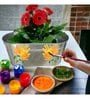 Ecofynd 3 In 1 Diy Growkit For Marigold Sunflower And Cosmos Mix