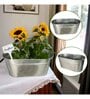 Ecofynd 3 In 1 Diy Growkit For Marigold Sunflower And Cosmos Mix