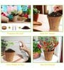 Ecofynd 3 In 1 Diy Growkit For Zinnia Balsam & Dahlia