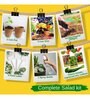 Ecofynd 3 In 1 Salad Gardening Kit: Cherry Tomato Capsicum Mix Lettuce Gardening Kit