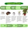 Ecofynd Diy Grow Kit For Chilli Pepper Plant || Diy Easy Grow It Yourself Gardening Kit