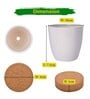 Ecofynd Diy Grow Kit For Chilli Pepper Plant || Diy Easy Grow It Yourself Gardening Kit