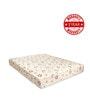 Ecosoft 78X48X6 Inch Double Bed Mattress