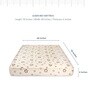 Ecosoft 78X48X6 Inch Double Bed Mattress