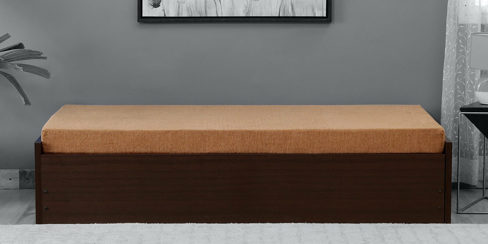 Edo Pull-Out Sofa Cum Bed with Storage & Brown Mattress in Wenge Finish
