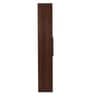 Eden Book shelf in Walnut & Teak Finish