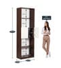 Eden Book Shelf in Walnut & White Finish