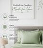 Green 400TC 100% Cotton Solid Flat Super King Bedsheet With 2 Pillow Covers