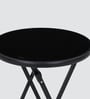 Eden Metal End Table In Black Colour
