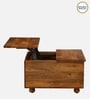 Edgar Solid Wood Lift Top Coffee Table In Honey Oak Finish With Drawers