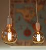 Edison Globe 40 Watts (E-27 Holder) Warm White LED Bulb