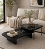 Edison Metal Nesting Coffee Table Set in Black Finish with Black Marble Top 