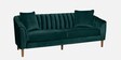 Effervescent Velvet 3 Seater Sofa in Green Colour