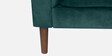 Effervescent Velvet 3 Seater Sofa in Green Colour
