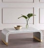 Egyptian Stripe Bone Inlay Coffee Table in Black & White Colour