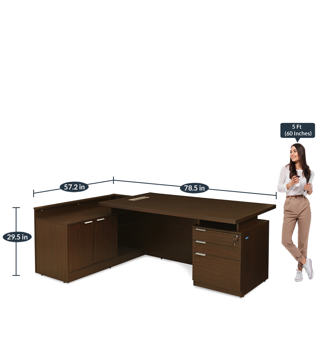Buy Elegant Executive Table in Walnut Colour By Nilkamal Online