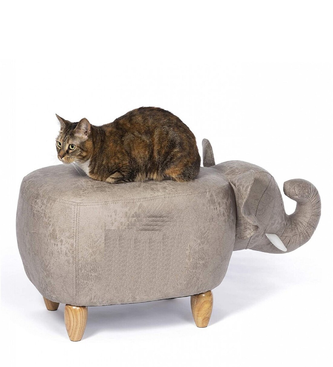 Buy Elephant Shaped Cat Bed in Grey Colour By Emily Pets Online Cat