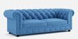 Elegant 2 Seater Sofa in Royal Blue Colour