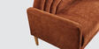 Elham 2 Seater Sofa In Dark Brown Colour