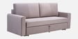 Elina Velvet Fabric Sofa Cum Bed in Beige Colour With Storage