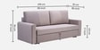 Elina Velvet Fabric Sofa Cum Bed in Beige Colour With Storage