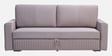 Elina Velvet Fabric Sofa Cum Bed in Beige Colour With Storage