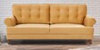 Elixir Three Seater Sofa in Mustard Colour