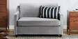 Elvis Velvet 2 Seater Sofa in Grey Colour