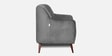 Elza Velvet 2 Seater Sofa in Grey Colour