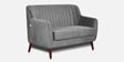 Elza Velvet 2 Seater Sofa in Grey Colour