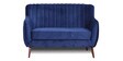 Elza Velvet 2 Seater Sofa in Navy Blue Colour