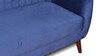 Elza Velvet 2 Seater Sofa in Navy Blue Colour