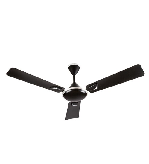 Buy Elsa Stershine 1200 Mm Black Ceiling Fan By Usha Online